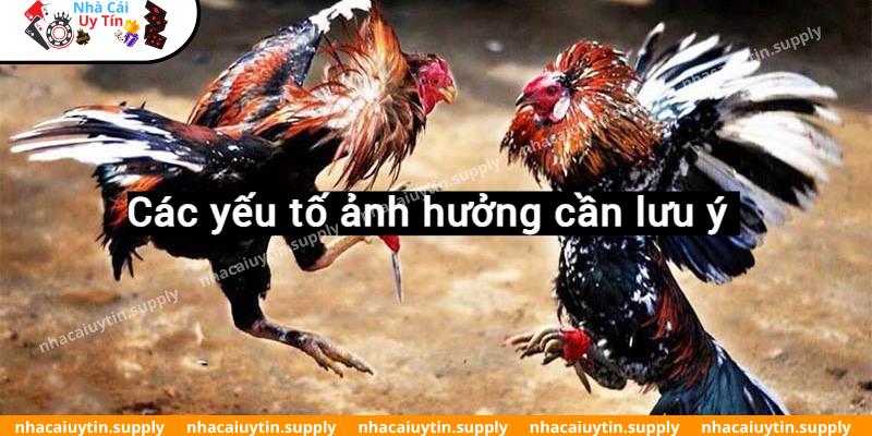 Các yếu tố ảnh hưởng cần lưu ý