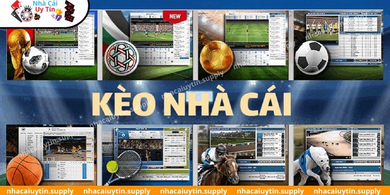 Bí quyết chơi kèo chấp 0.5 cực hiệu quả