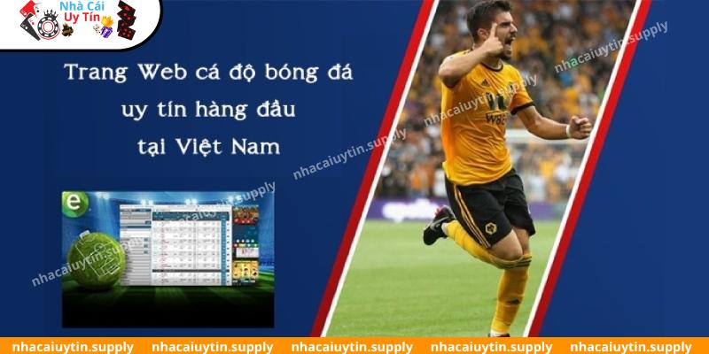 Trang cá cược bóng đá